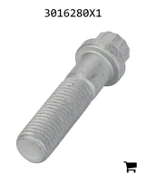 AGCO 3016280X1 Винт с 12-гранной головкой с фланцем