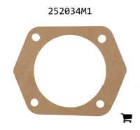 AGCO 252034M1 Прокладка