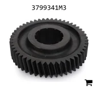 AGCO 3799341M3 Шестерня