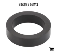 AGCO 3639963M1 Уплотнение
