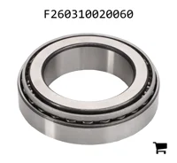 AGCO F260310020060 Конический роликовый подшипник