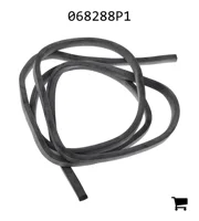 AGCO 068288P1 Пена