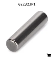 AGCO 022323P1 Игольчатый ролик