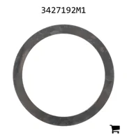 AGCO 3427192M1 Шайба