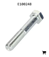 AGCO E100248 Болт