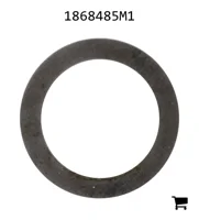 AGCO 1868485M1 Шайба
