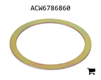AGCO ACW6786860 Шайба