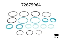 AGCO 72675964 Комплект уплотнений гидроцилиндра
