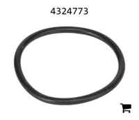 AGCO 4324773 Уплотнительное кольцо корпуса оси