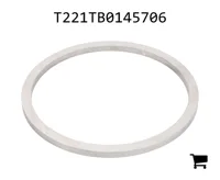 AGCO T221TB0145706 Шайба