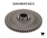 AGCO 260100493021 Цилиндрическая шестерня