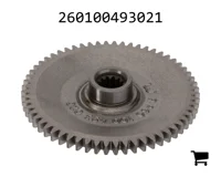 AGCO 260100493021 Цилиндрическая шестерня