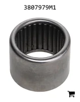 AGCO 3807979M1 Игольчатый подшипник