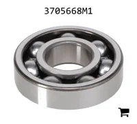 AGCO 3705668M1 Шариковый подшипник