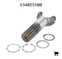 AGCO V34055500 Вал оси