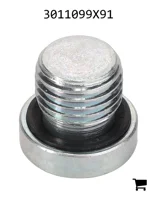 AGCO 3011099X91 Заглушка