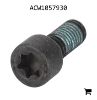 AGCO ACW1057930 Установочный винт с шестигранной головкой