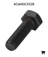 AGCO ACW4663920 Болт с шестигранной головкой