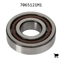 AGCO 7065121M1 Роликовый подшипник