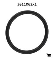 AGCO 3011062X1 Уплотнительное кольцо