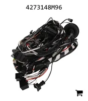 AGCO 4273148M96 Жгут