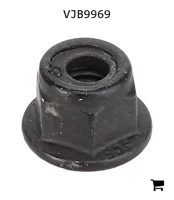 AGCO VJB9969 Стопорная гайка