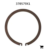 AGCO 370579X1 Сегмент