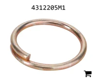 AGCO 4312205M1 Кольцо