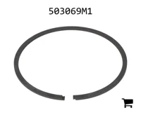 AGCO 503069M1 Кольцо