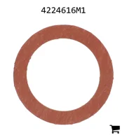 AGCO 4224616M1 Шайба