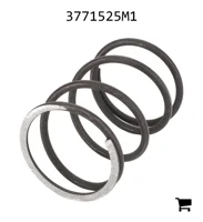 AGCO 3771525M1 Пружина