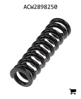 AGCO ACW2898250 Пружина