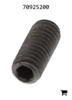 AGCO 70925200 Установочный винт с шестигранной головкой