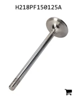 AGCO H218PF150125A Впускной клапан