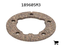 AGCO 189605M3 Прокладка