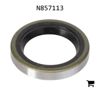 AGCO N857113 Сальник
