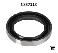 AGCO N857113 Сальник