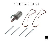 AGCO F931962030160 Комплект запчастей