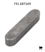 AGCO FEL107169 Параллельный шпоночный паз