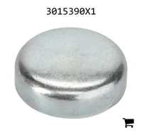 AGCO 3015390X1 Заглушка