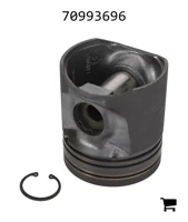 AGCO 70993696 Поршень