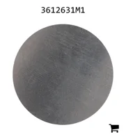 AGCO 3612631M1 Шайба