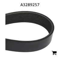 AGCO A3289257 Ремень