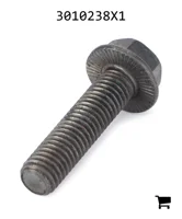 AGCO 3010238X1 Болт с шестигранной головкой и фланцем