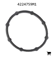 AGCO 4224759M1 Уплотнительное кольцо