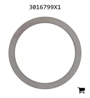 AGCO 3016799X1 Шайба