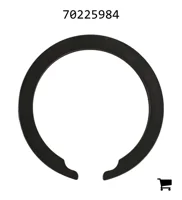 AGCO 70225984 Кольцо