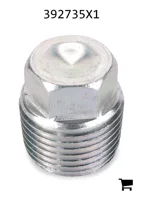 AGCO 392735X1 Заглушка