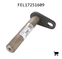 AGCO FEL17251609 Болт