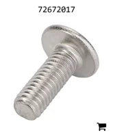 AGCO 72672017 Винт